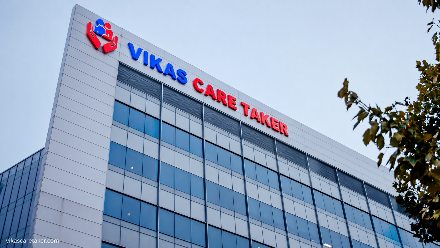 Advanced Healthcare Support